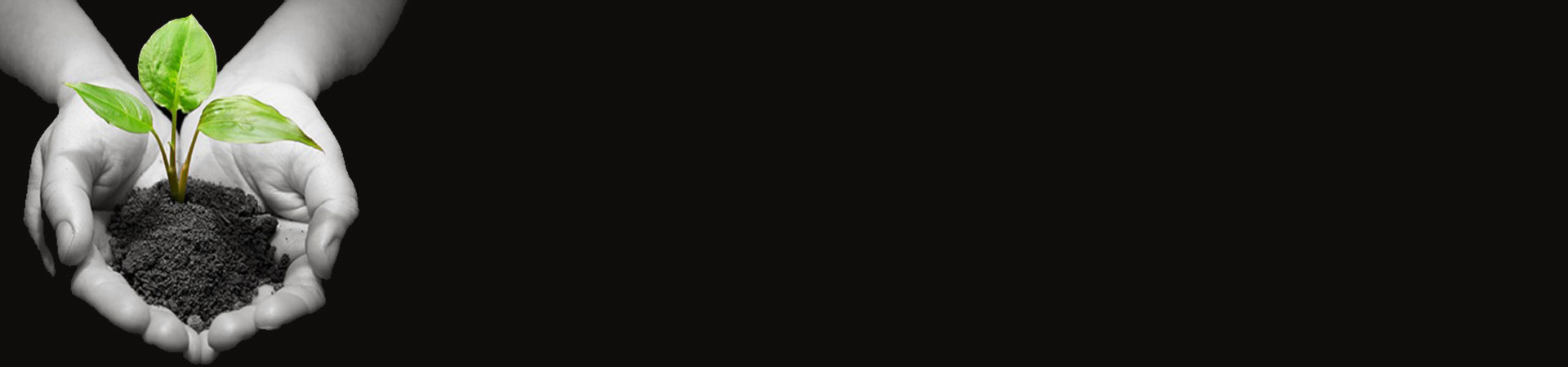 bg-banner